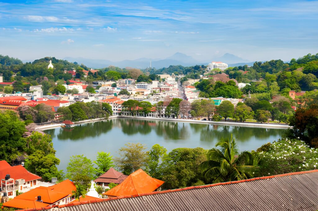 steptodown.com861866