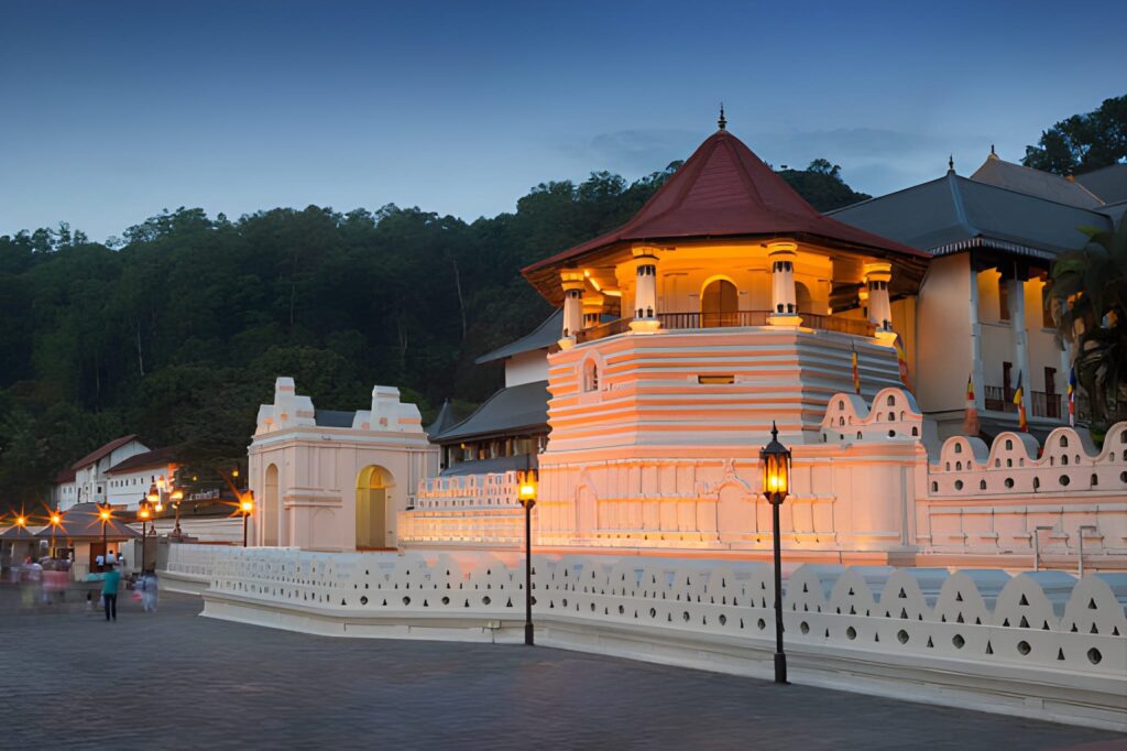 steptodown.com960800