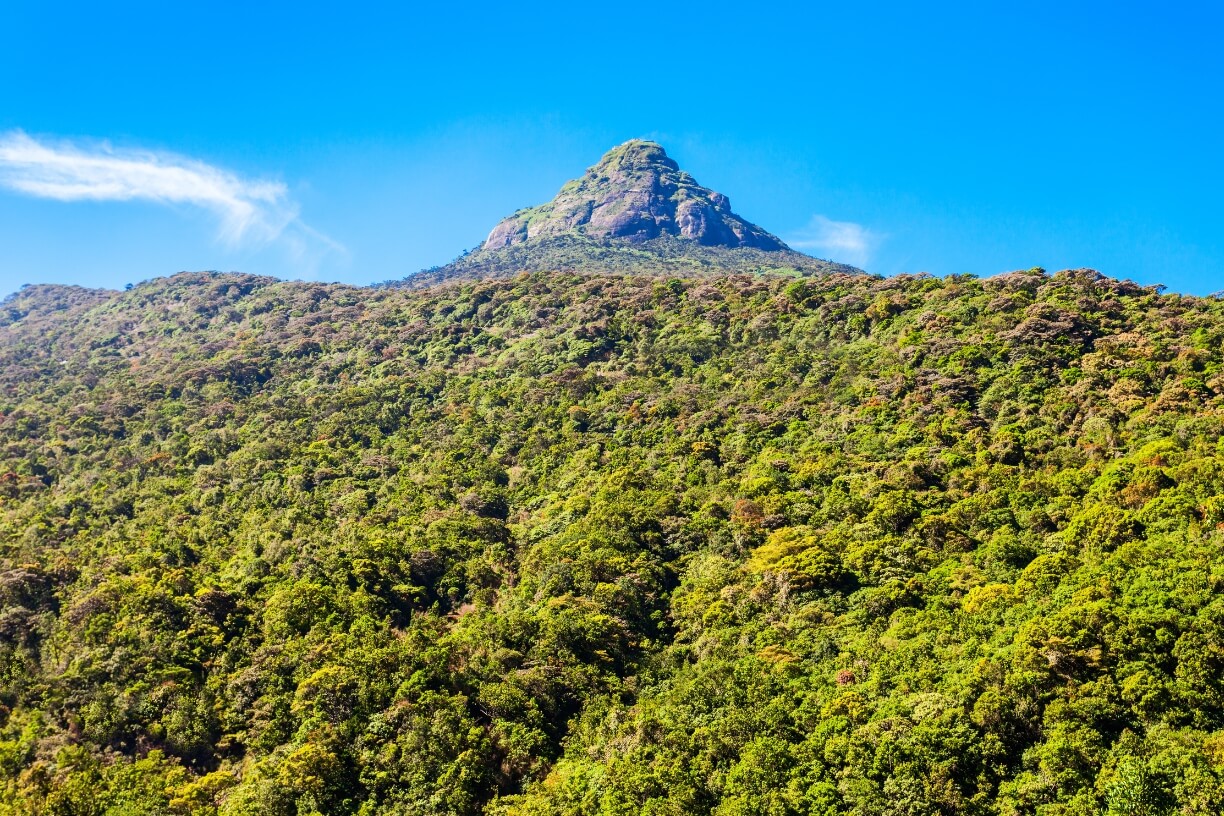 Adam’s Peak gallery 2