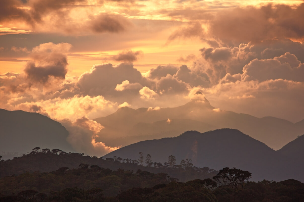 Adam’s Peak gallery 3