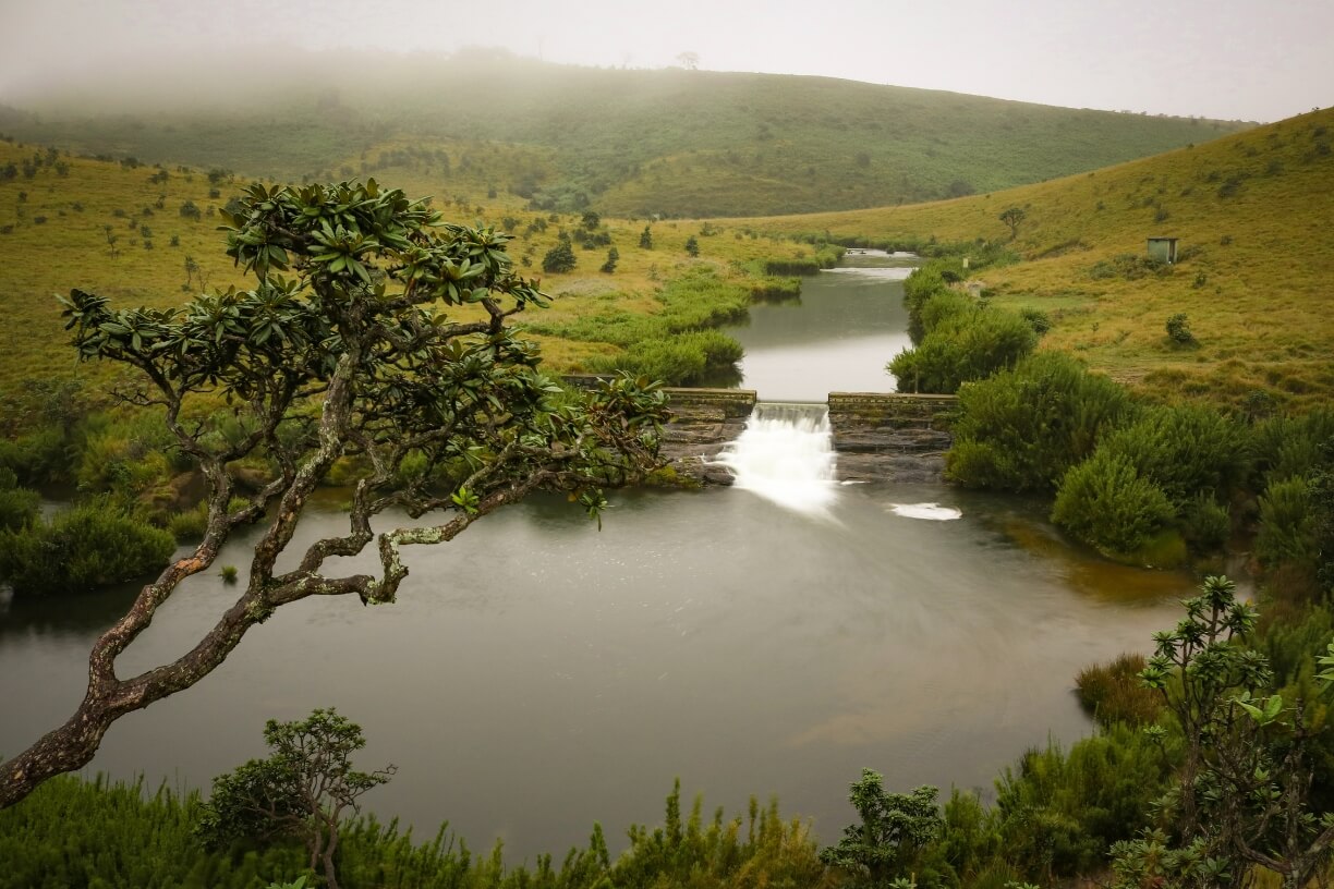 Horton Plains gallery 1