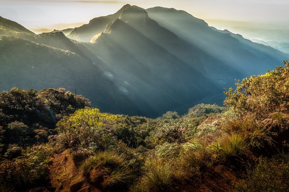 Horton Plains gallery 3