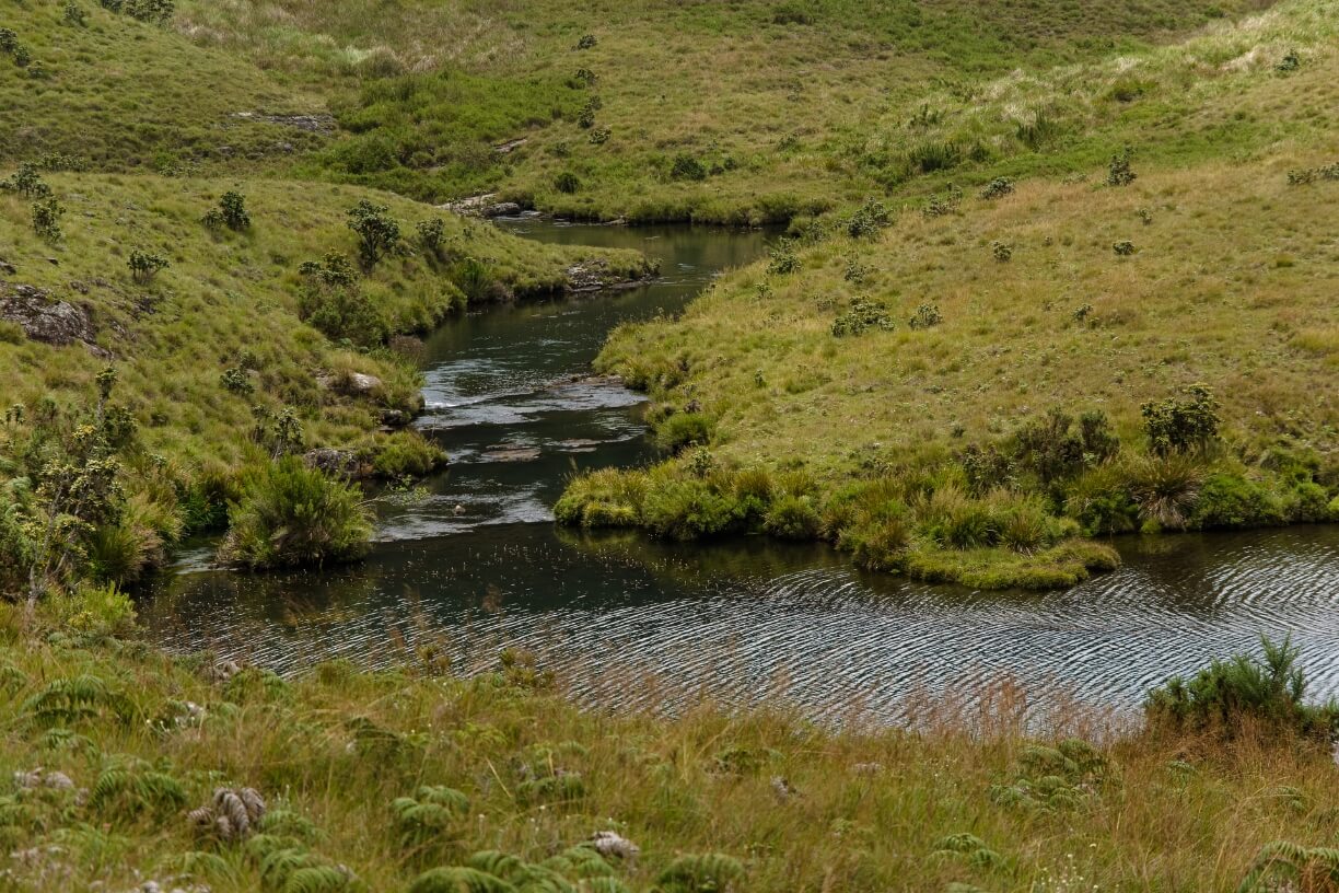 Horton Plains gallery 4