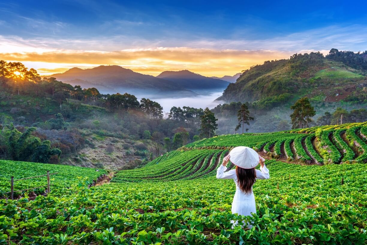 Nuwaraeliya gallery 2