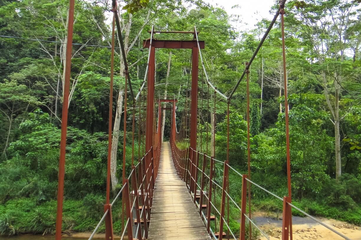 Sinharaja Forest Reserve gallery 4