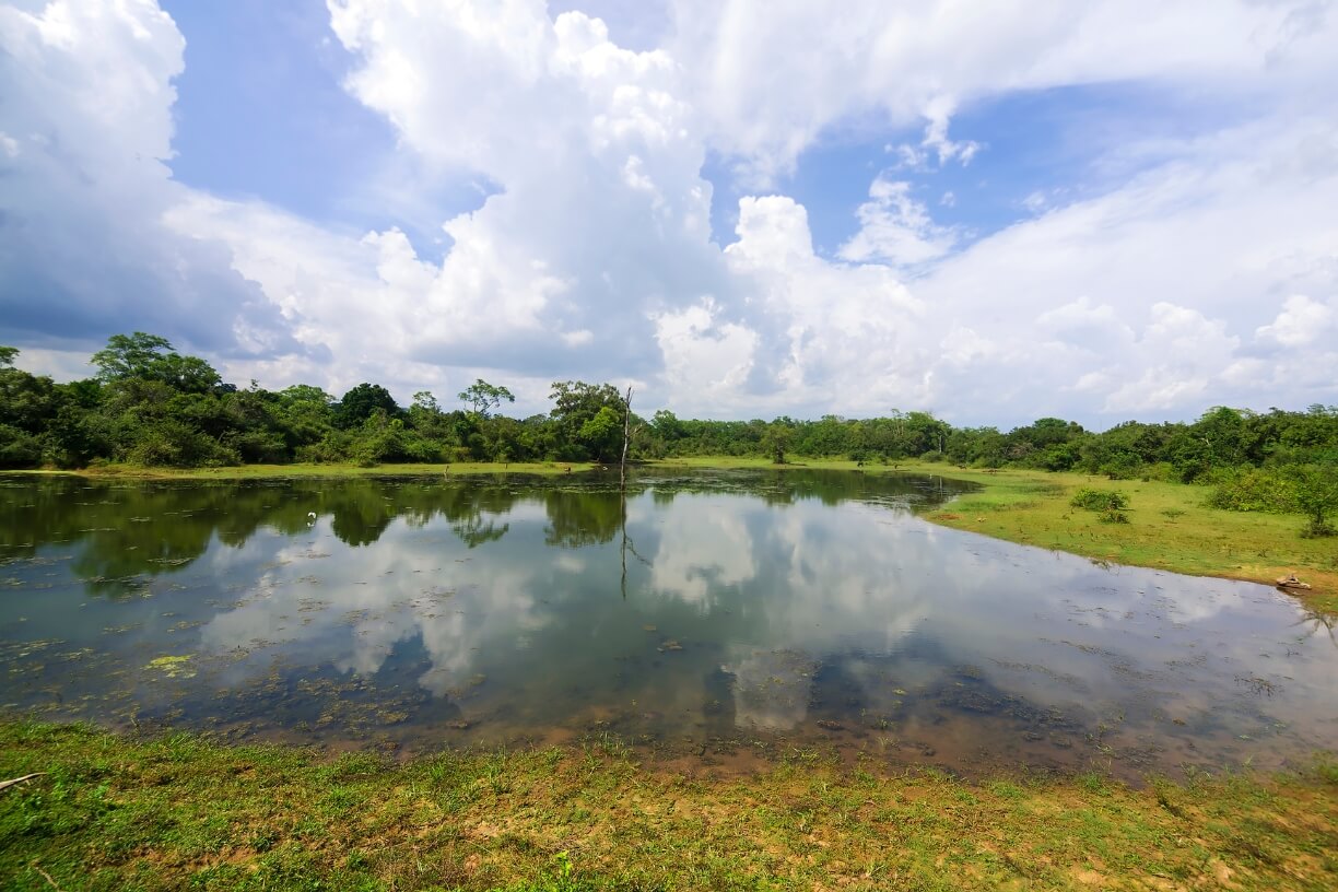 Udawalawe National Park gallery 2