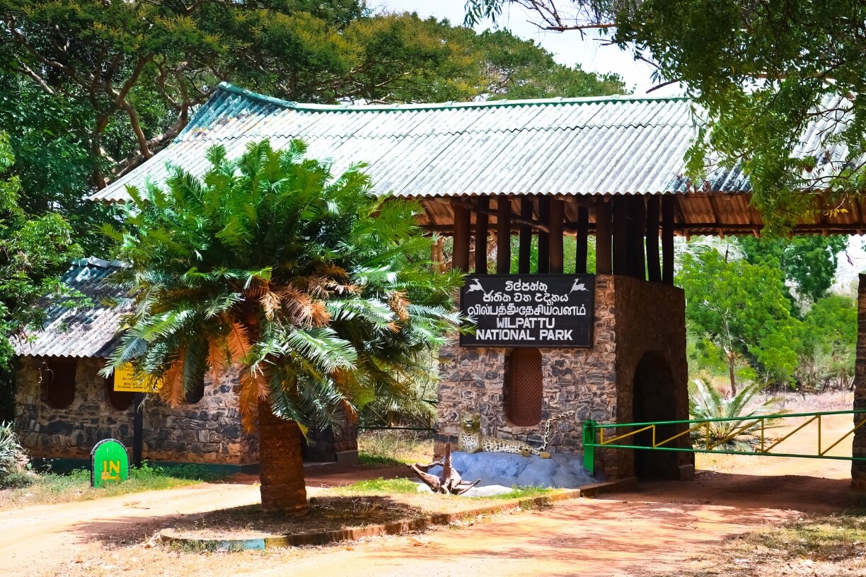 Wilpattu National Park gallery 1