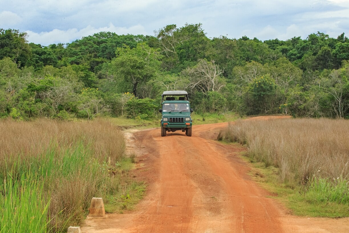 Wilpattu National Park gallery 3